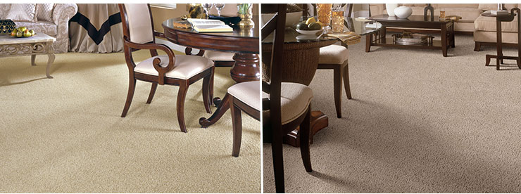 Spotlight values carpet rooms